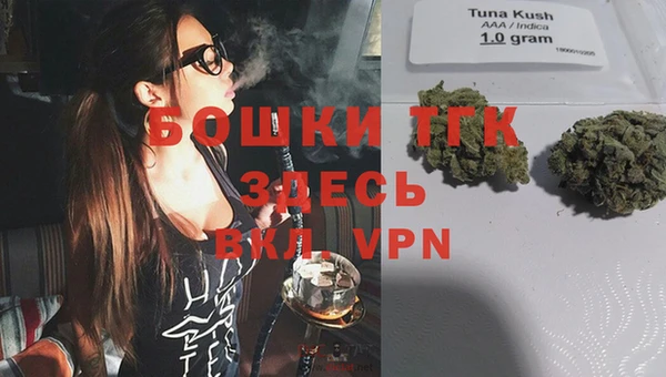 тгк Михайлов