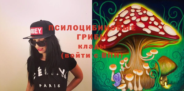 тгк Михайлов