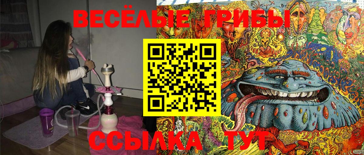 Псилоцибиновые грибы GOLDEN TEACHER  Вход с VPN  Владимир 