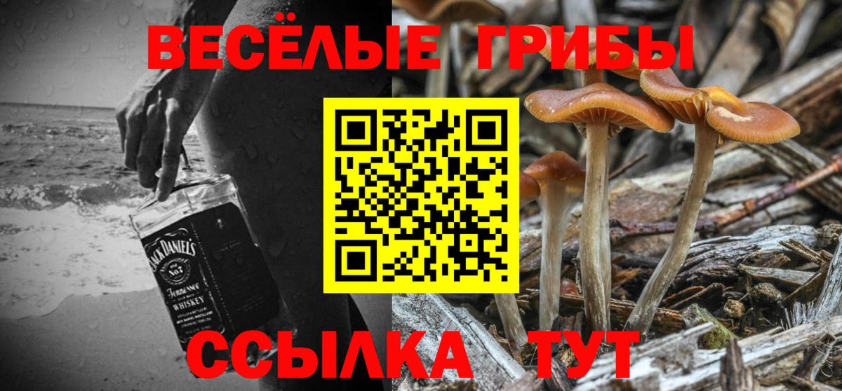 Владимир  MDMA  Канабис  Мефедрон кристаллы  ГАШИШ  Вход с VPN  КОКАИН 