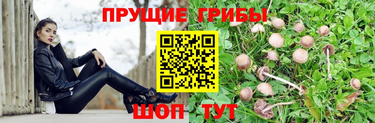 Галлюциногенные грибы Magic Shrooms Владимир
