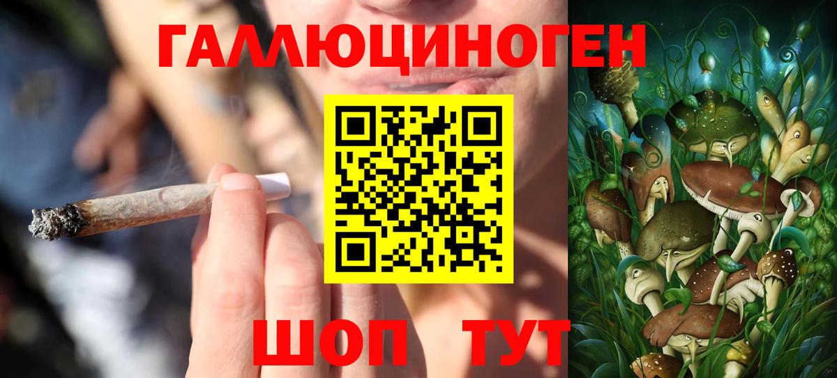 Галлюциногенные грибы Magic Shrooms Владимир