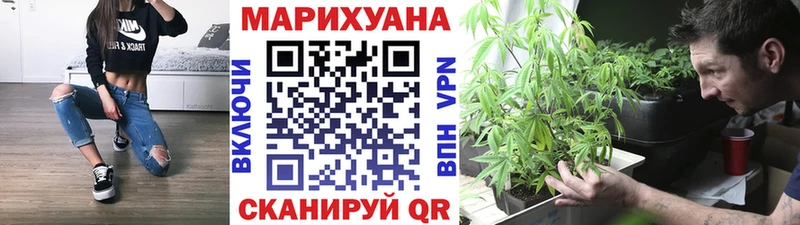 Бошки марихуана гибрид даркнет сайт Владимир